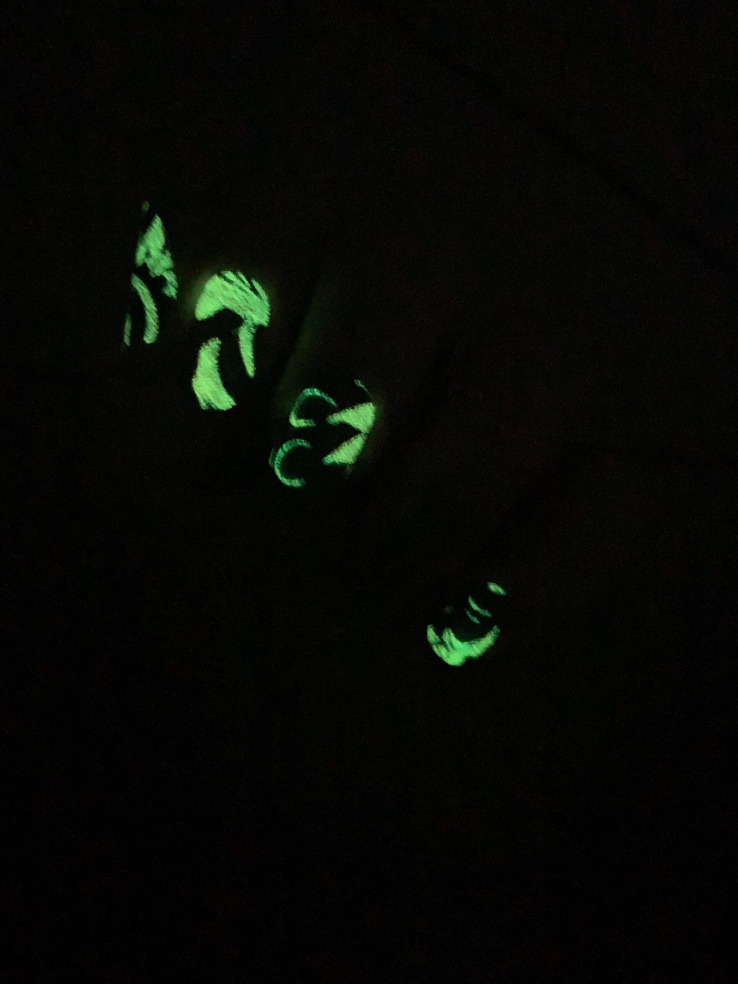 Boho Scene (Glow in the Dark) - Exclusive Starlit & SSH Limited Edition Collab