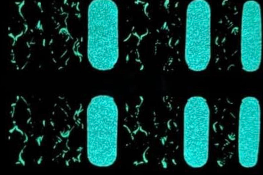 Fire & Bone (Glow in the Dark) - Exclusive Starlit & SSH Limited Edition Collab