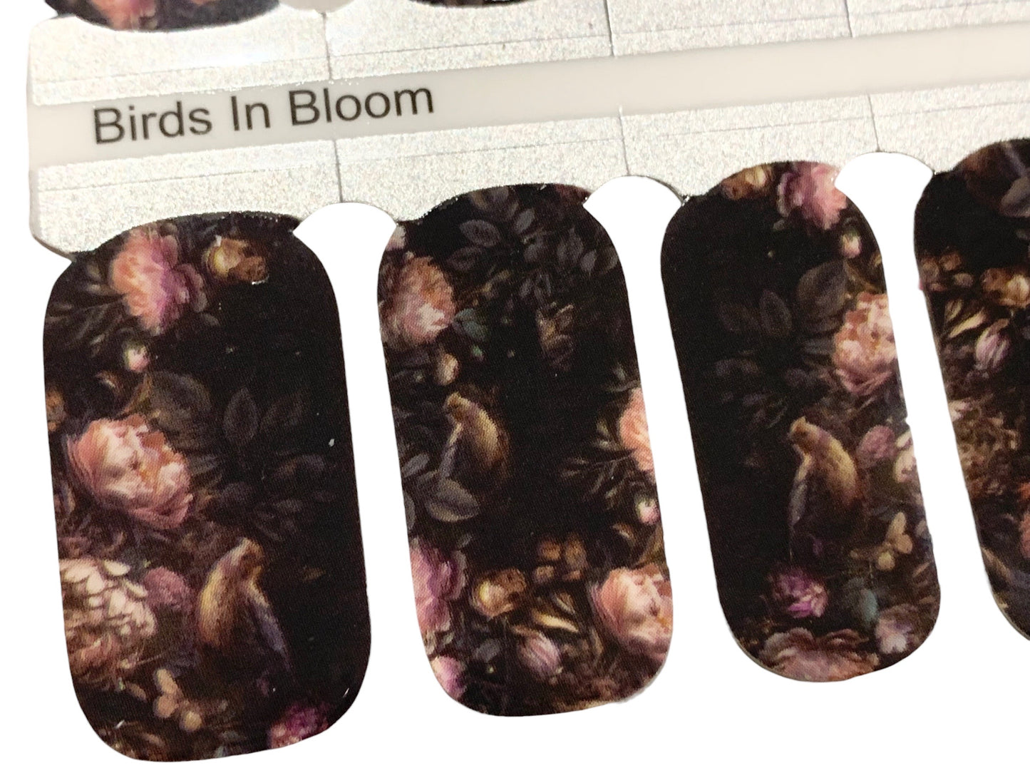 Birds In Bloom