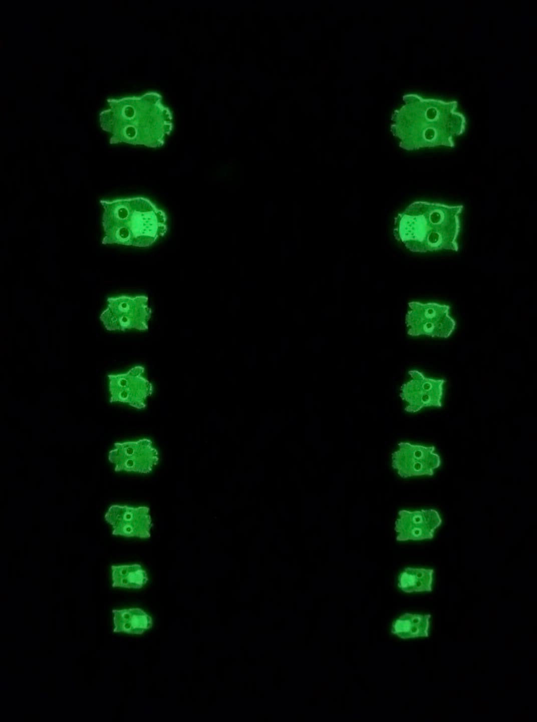 Kiss Me I’m Owlish (Glow In The Dark)