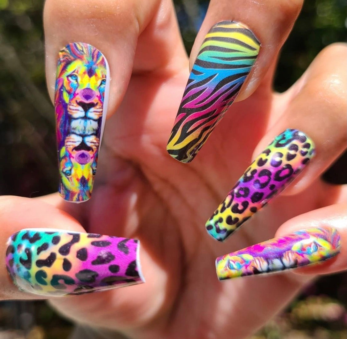 Primal Instinct