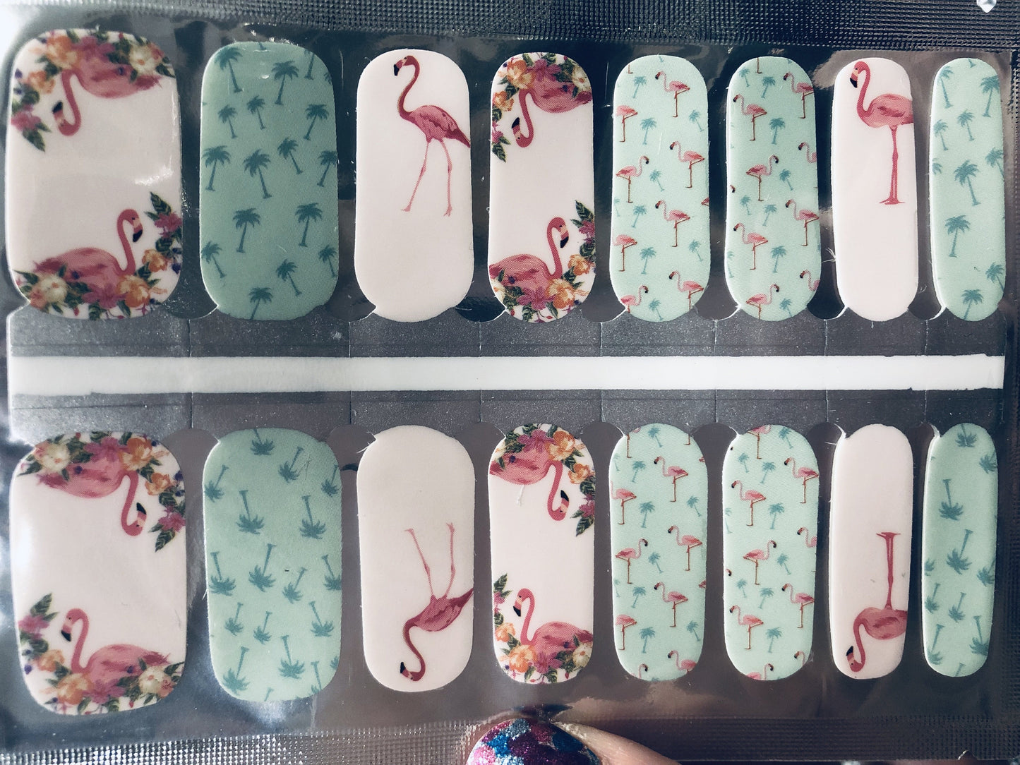 Tropical Flamingo