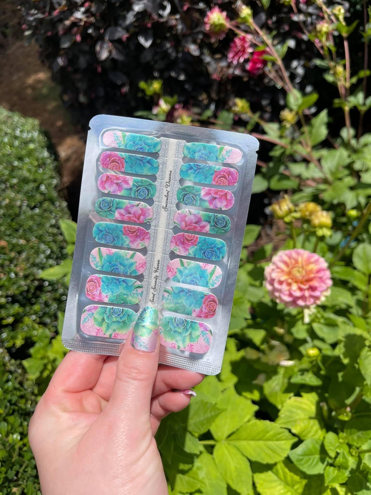 Succulent Dreams - Exclusive SSH Limited Edition