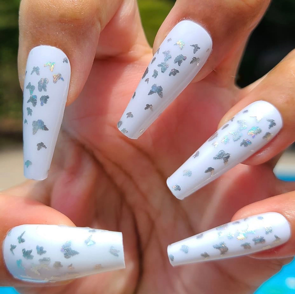 Social Butterfly (Transparent Holographic)