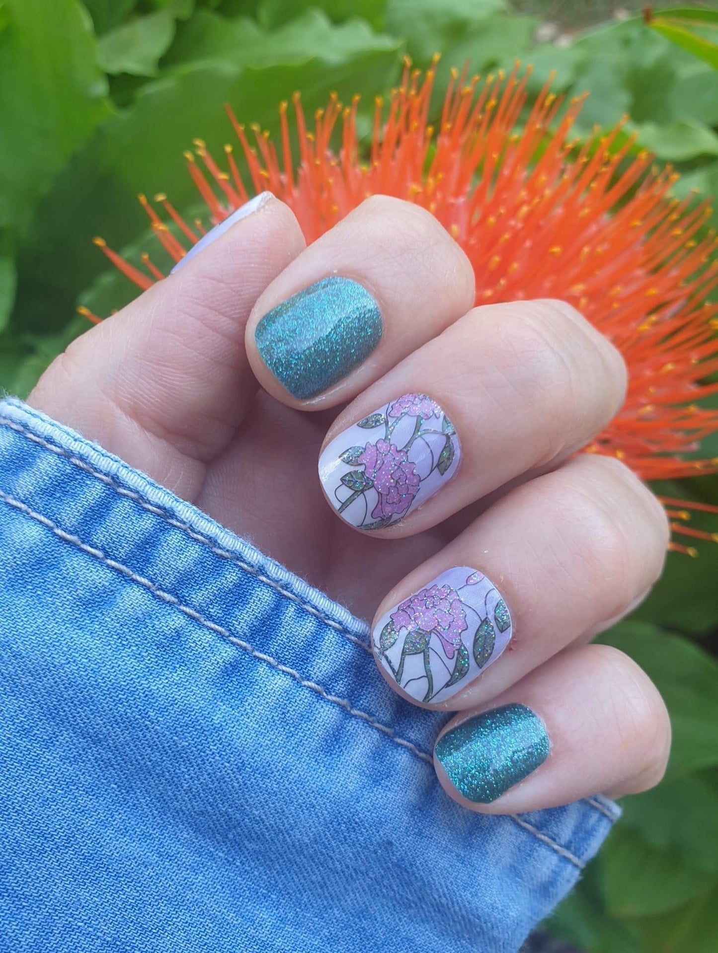 Bloom Where You’re Planted (Transparent)