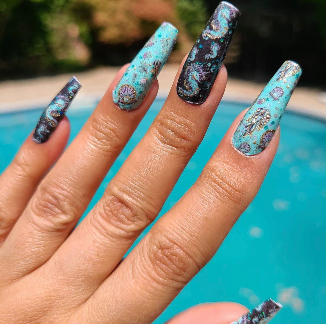 Seas The Day!
