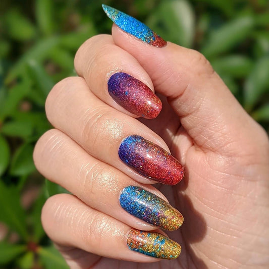 Color Explosion - Exclusive SSH Limited Edition