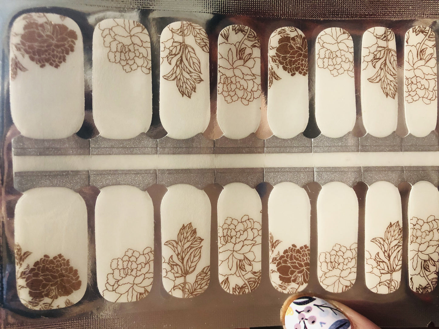 Rose Garden (Transparent)