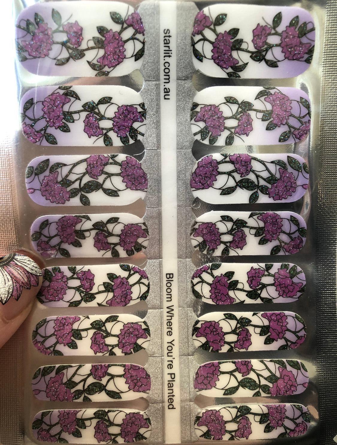 Bloom Where You’re Planted (Transparent)