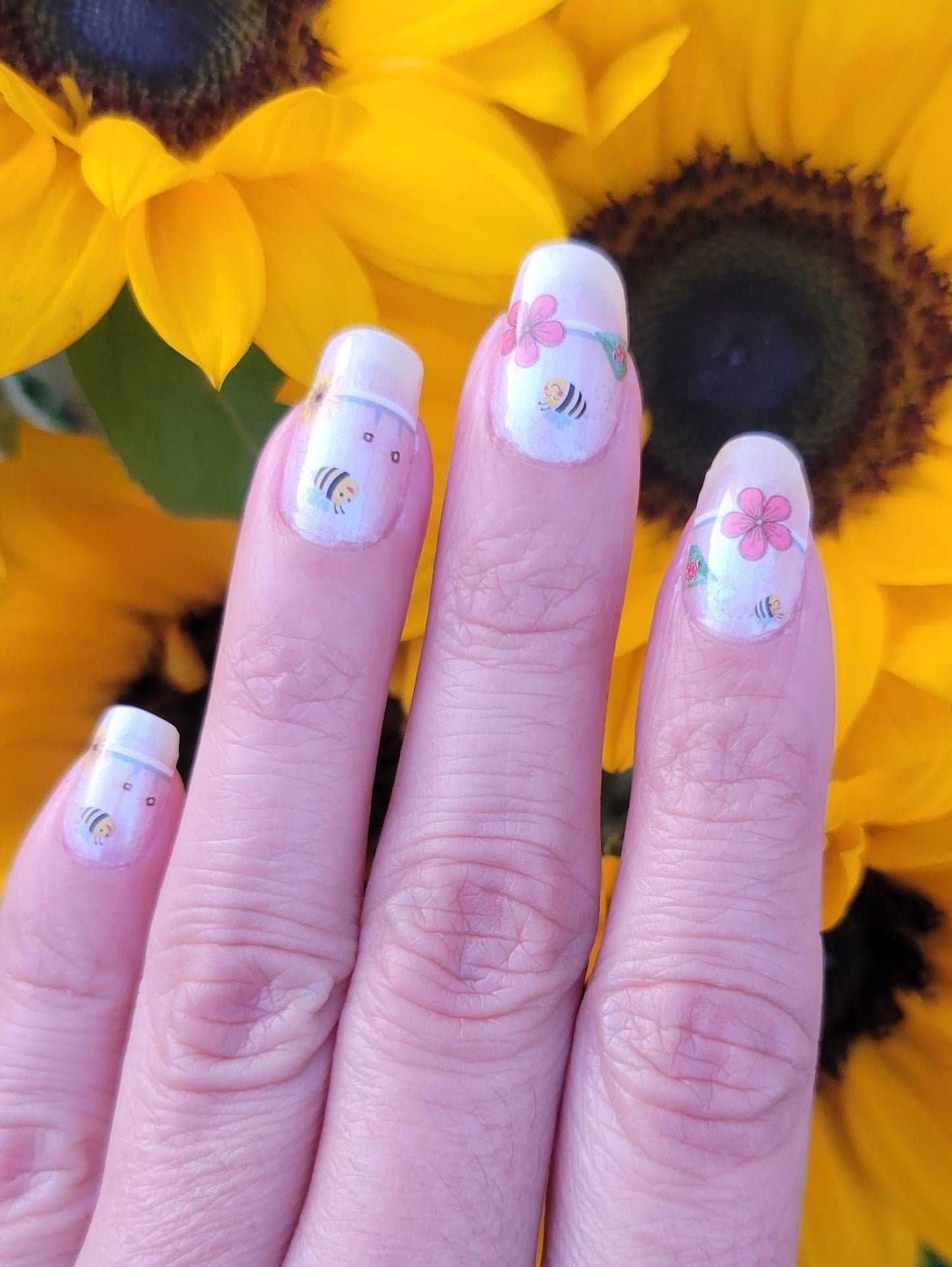 Clearly Spring (Transparent)