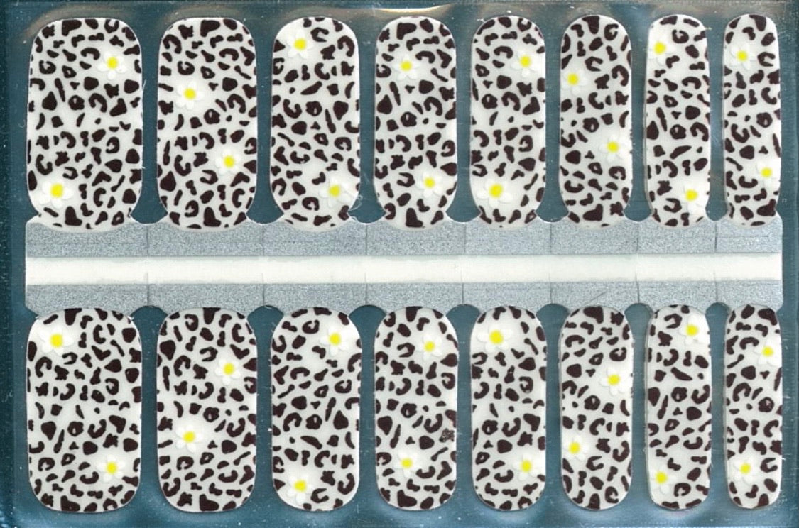 Wild Daisies (Transparent)