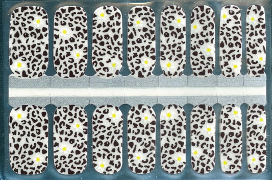 Wild Daisies (Transparent)
