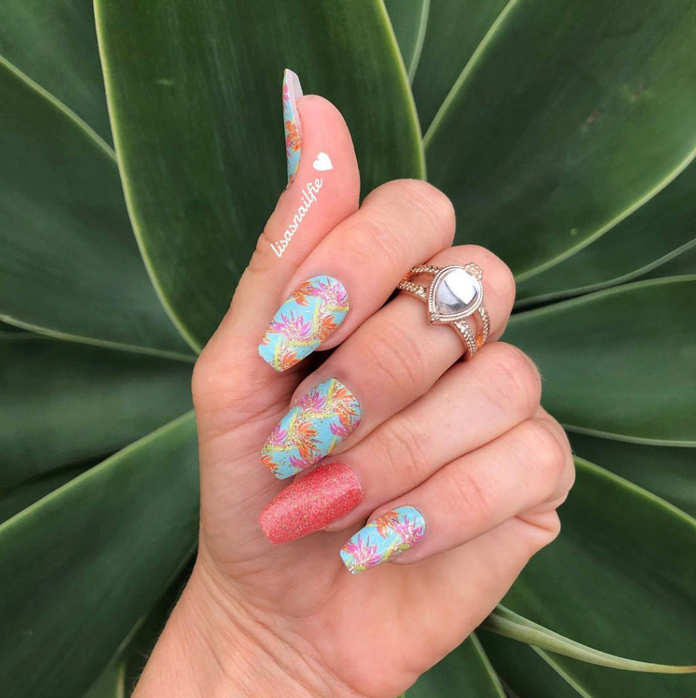 Bird of Paradise