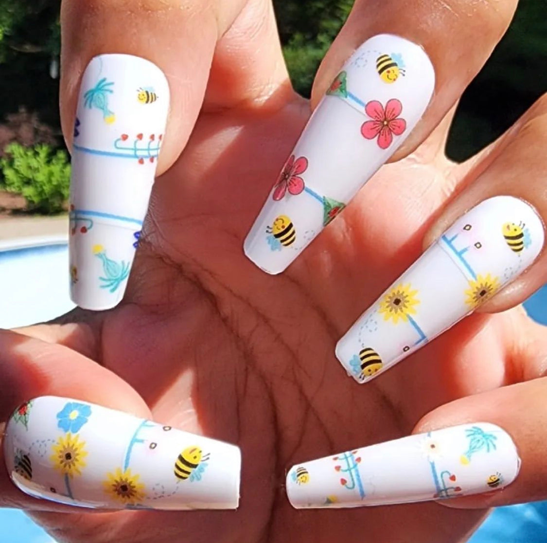 Clearly Spring (Transparent)