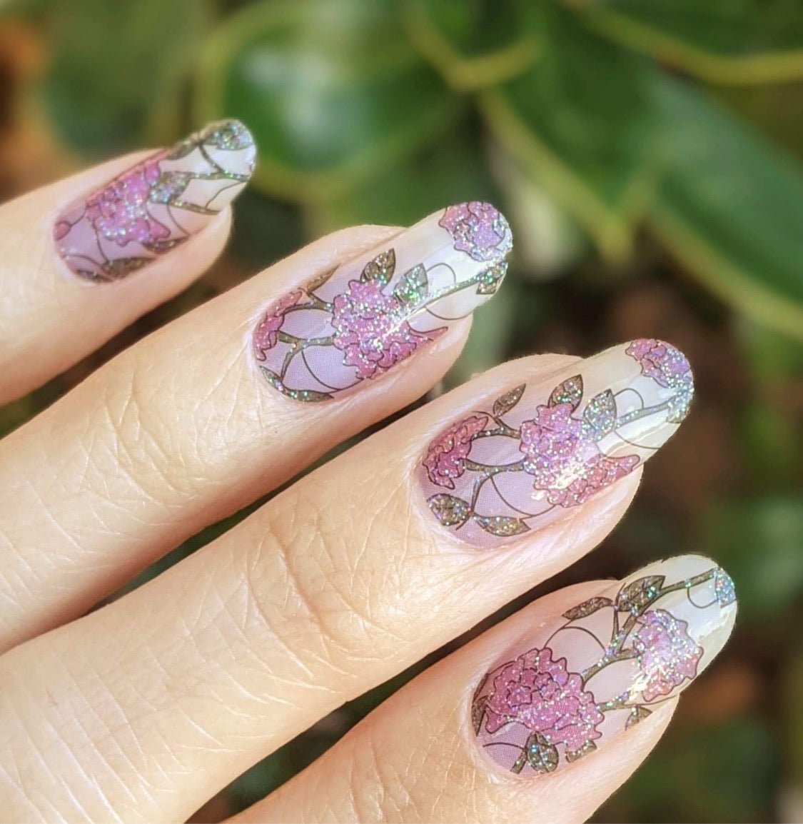 Bloom Where You’re Planted (Transparent)