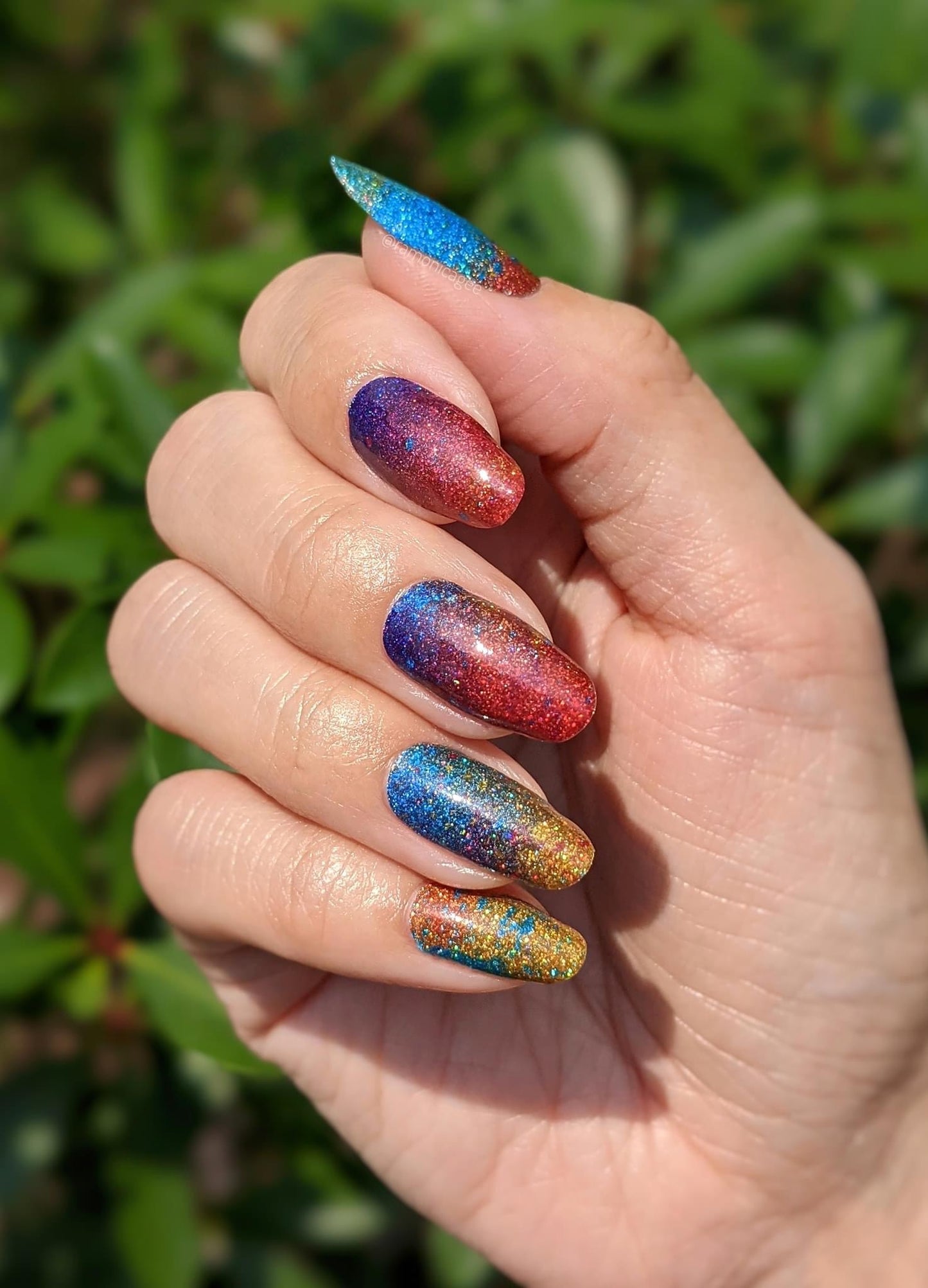 Color Explosion - Exclusive SSH Limited Edition