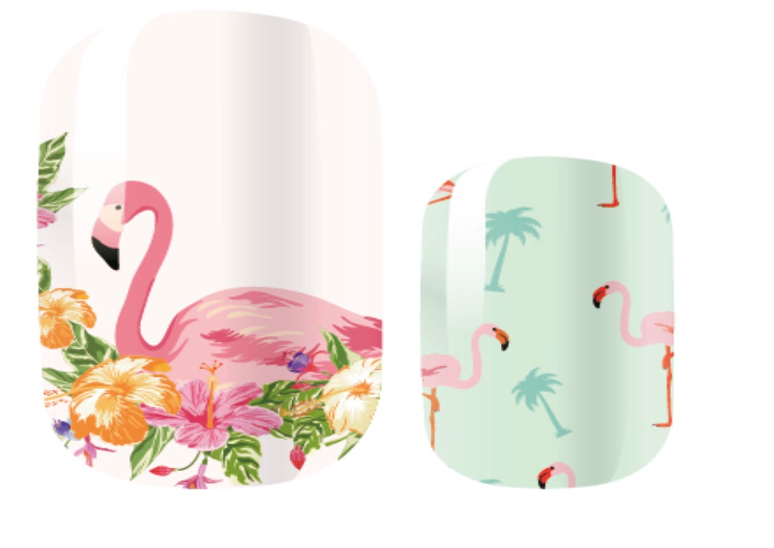 Tropical Flamingo