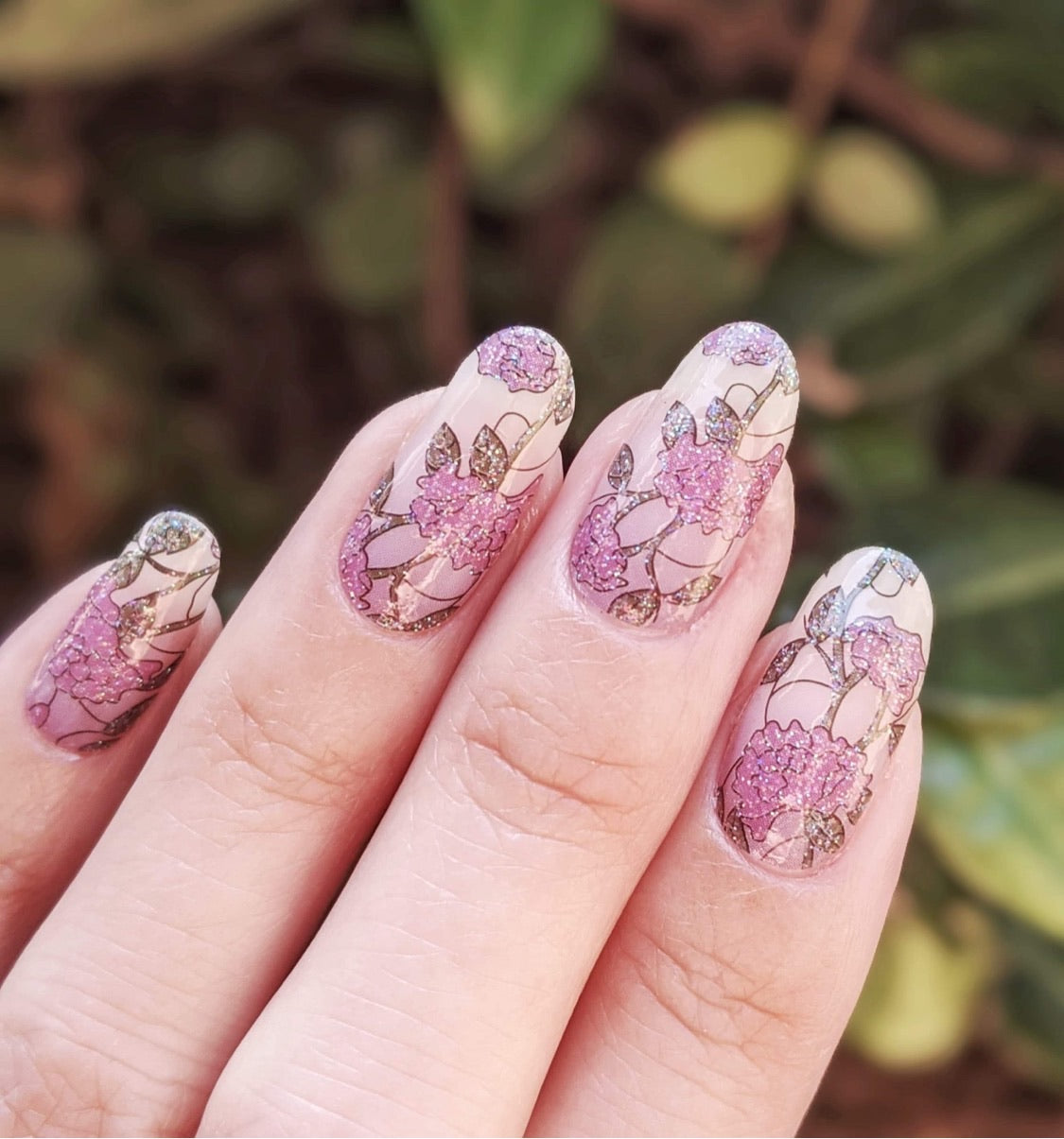 Bloom Where You’re Planted (Transparent)