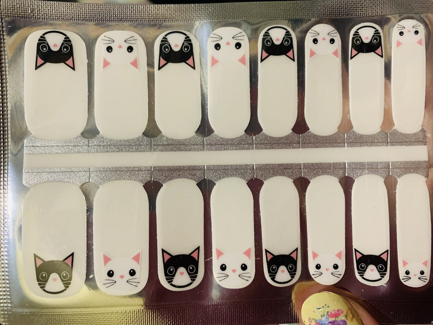Feline Good (Transparent)