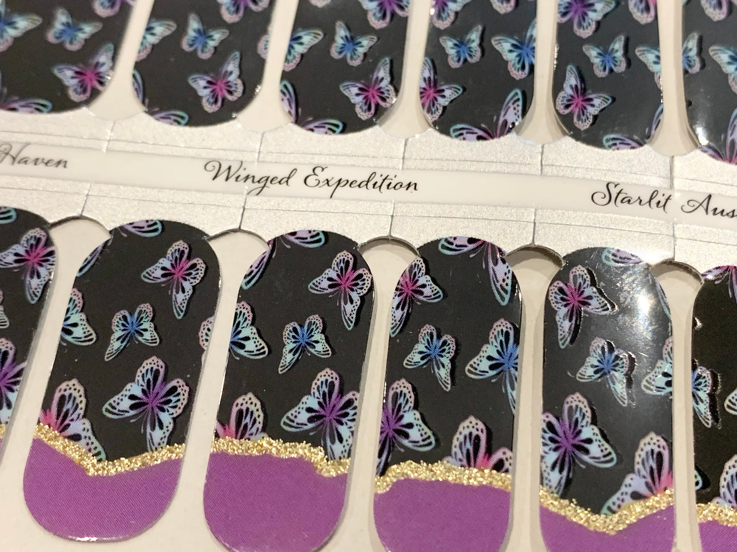 Winged Expedition - Exclusive Starlit & SSH Limited Edition Collab