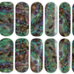 Abalone