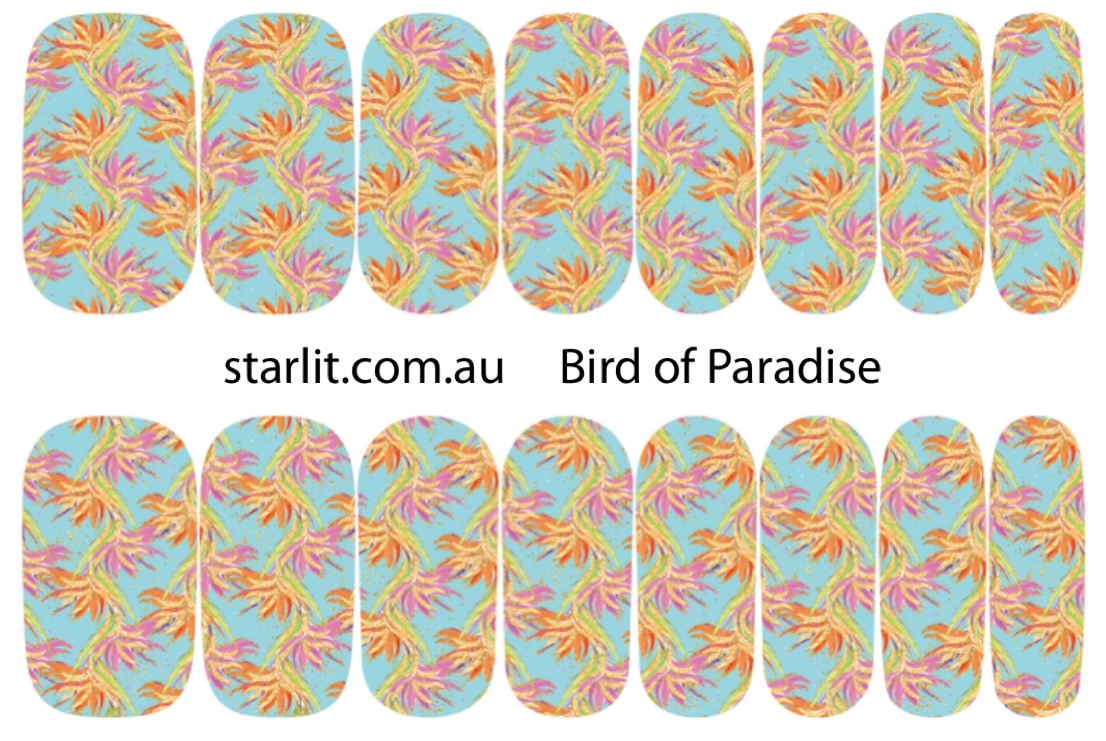 Bird of Paradise