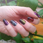 Mandalay - Exclusive Starlit & SSH Limited Edition Collab