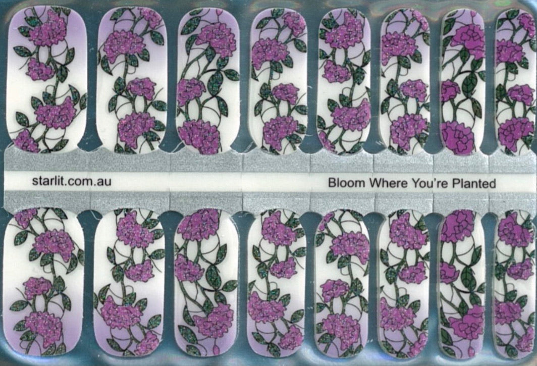Bloom Where You’re Planted (Transparent)
